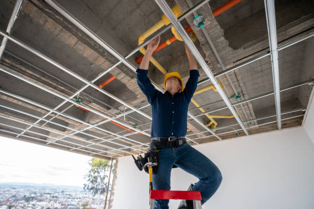 Best Toilet Repair Services  in Spring Valley, IL