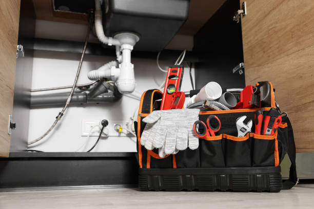 Best Plumbing Repair Near Me  in Spring Valley, IL