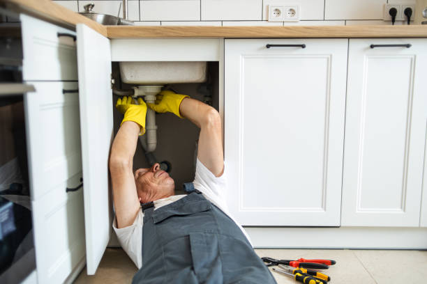 Best Best Plumbers Near Me  in Spring Valley, IL