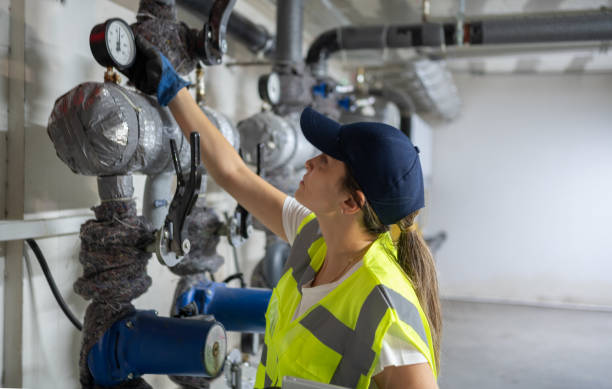Best Local Plumber Services  in Spring Valley, IL
