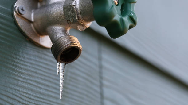 Best Local Plumber Services  in Spring Valley, IL