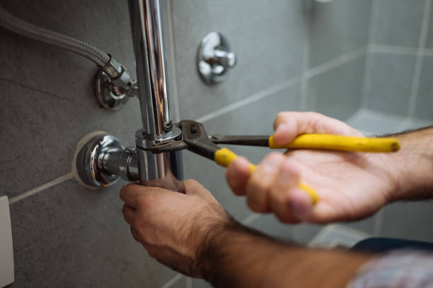 Best Affordable Plumbing Services  in Spring Valley, IL
