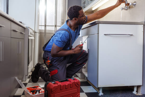 Best Shower Repair Services  in Spring Valley, IL