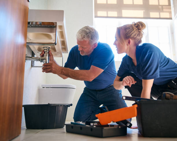 Best Leak Detection Services  in Spring Valley, IL